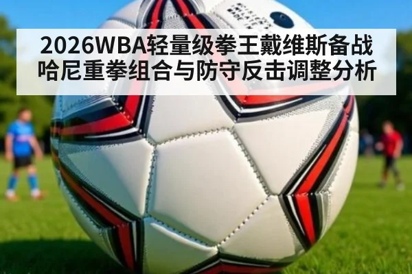 2026WBA轻量级拳王戴维斯备战哈尼重拳组合与防守反击调整分析