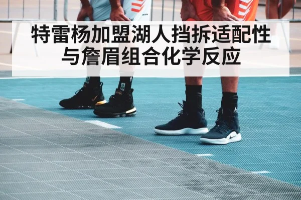 特雷杨加盟湖人挡拆适配性 与詹眉组合化学反应